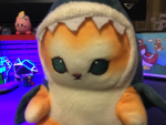 Shark_Cat Studios