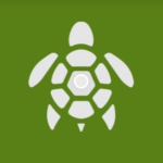 Pandilla de tortugas