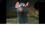 Rats gang gang