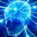 Braincell Interactive
