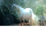 MysticalUnicorn