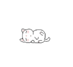 Joey&Kitty Shop