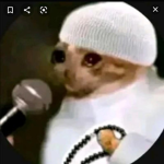 amerkhlil11