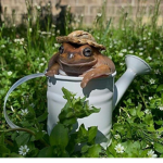 Froggiess!! :D