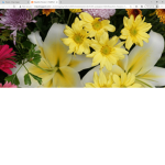 Flowers are the best:)