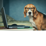 The Dog Crusaders