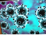 The Coronavirus