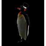 -The Blank Penguin Diner.-