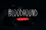 #79BLOODHOUND