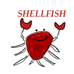 ShellFish Clothing