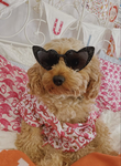 Taylor's Besties