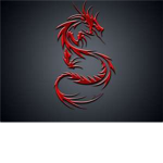 Dragon Slayers Of The Darknes