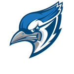 Blue Birds High School