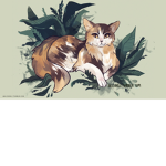 The Clan of the Crystal Cats