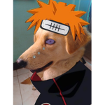 DAN_DEV12 FAN,S