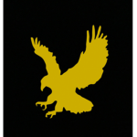 GoIden Hawks