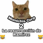 Momichis Corp 2