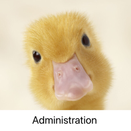 Ducks United Administration Hangout! (IN PROGRESS)