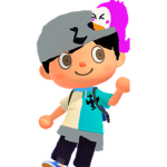 The Animal crossing fan group