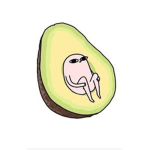 avocado hangot group