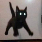 fix your avatar