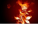 fire flower power