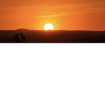 Simply Sunset fans! (My yt just ask)