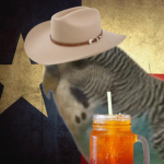 Southern Yeehaw Birb