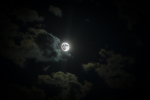 Den's Clothing brand