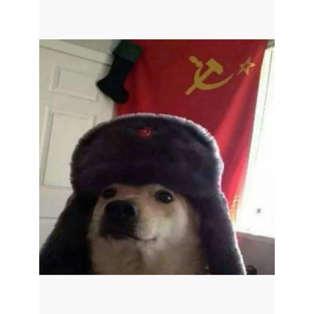 Oranges happy place.