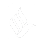 [AM} AirMalaysia Developers