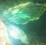 Aurelle’s Faeries !