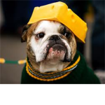 packers fanclub