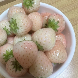 ୨୧