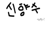 신향수의 그룹