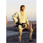 The Luke Skywalker fan club