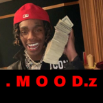 . M O O D.z