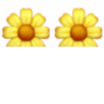 Cute little daisys