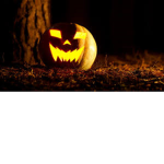 Happy pumkin