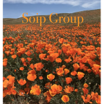 S-o-I-p group