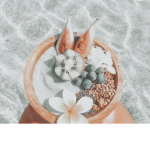Tropical vibes( Maria’s closet)