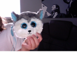 RESPECT THE HUSKYS