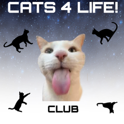Cats 4 life club
