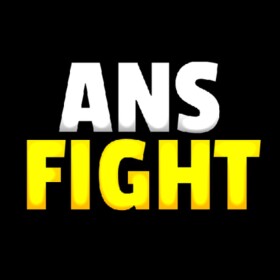 AnsFight