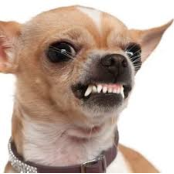 Kill Noobs and Yeet Their Bodies Into the Abyss