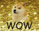 Doges rule the roblox world