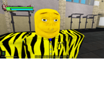 nuggetssquadnoobs