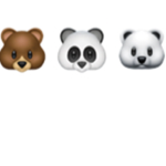 The bear bow ties
