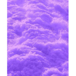 Chexry_Bloom