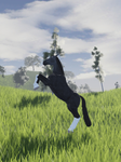 § redcross equestrian team §
